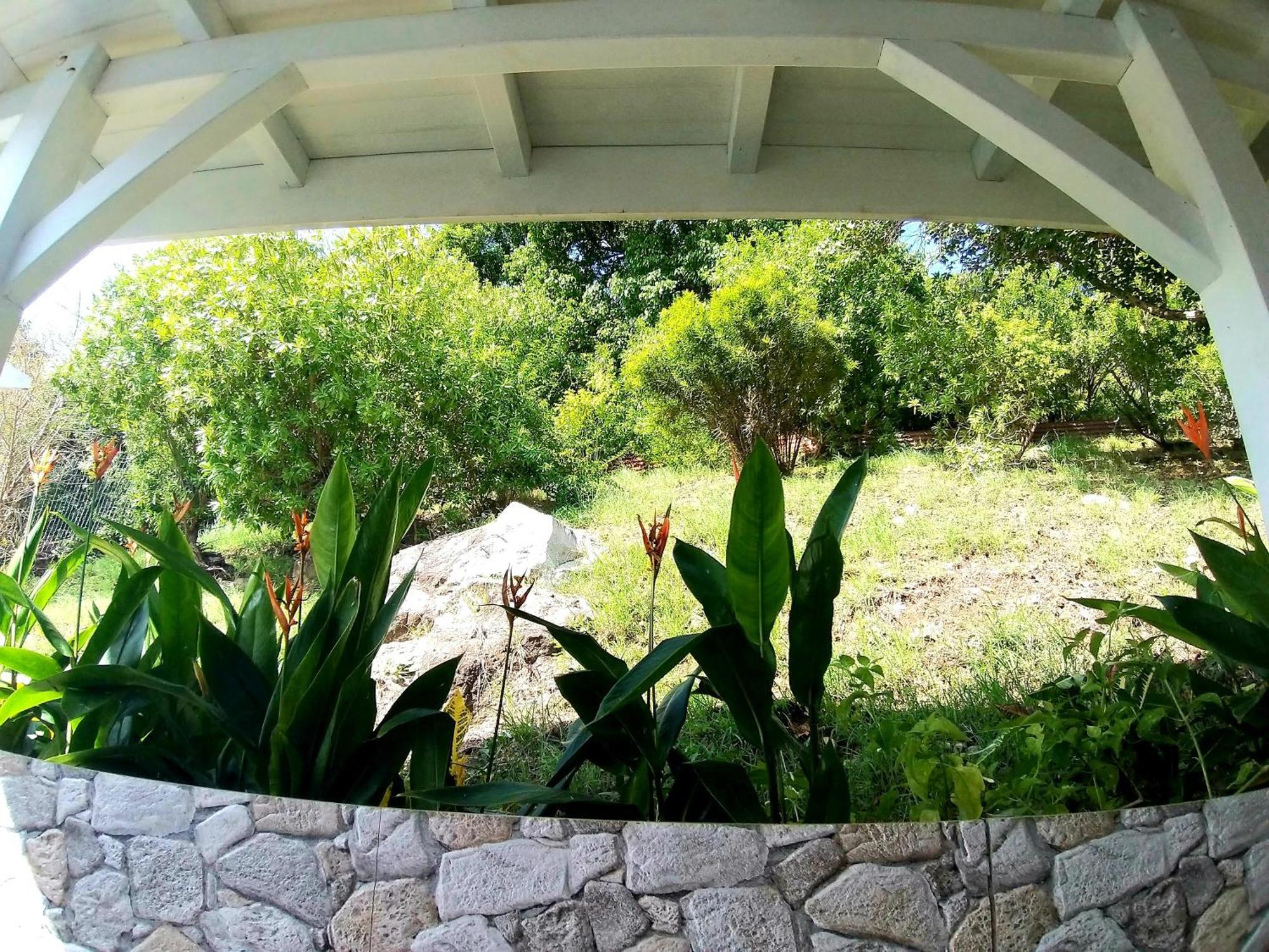 Villa Cana Et Son Spa A Terre De Haut Terre-De-Haut Exterior photo